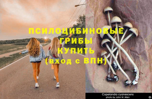 МДМА Беломорск