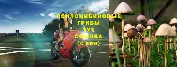 спиды Белокуриха